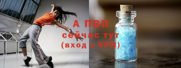 mdpv Вяземский