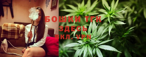 mdpv Вяземский