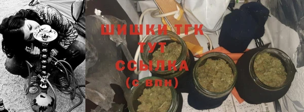 mdpv Вяземский